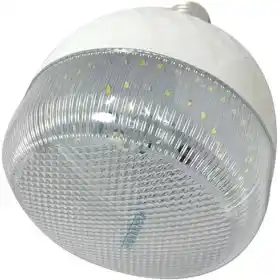 5250_133919626971118124.jpg