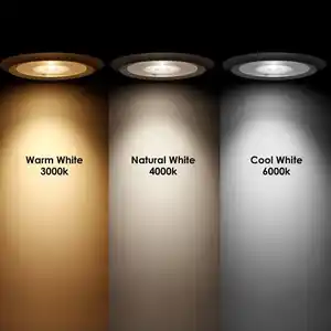 warm-vs-white-vs-daylight-lamp